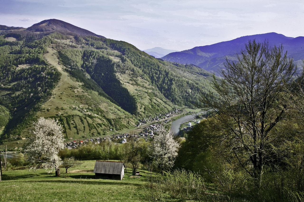 Dream Hostel Carpathians Рахив Екстериор снимка